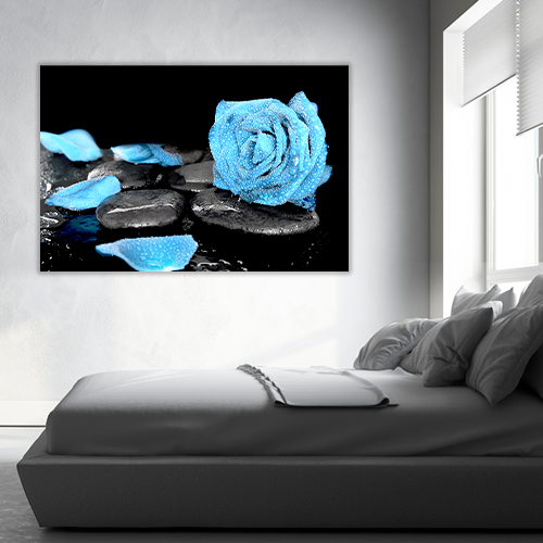 Blue Rose and Black Stones