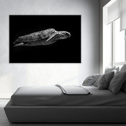 Sea Turtle Swimming in the Sea