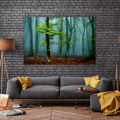 Autumn landscape