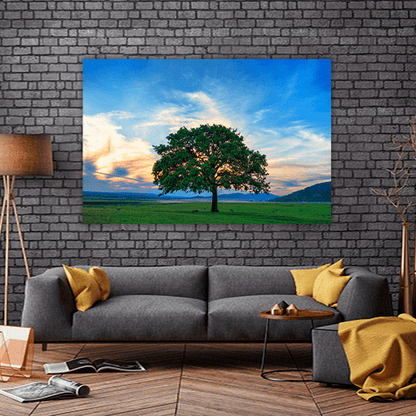 Beautiful and Old Oak