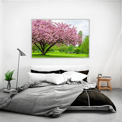 Sakura Tree
