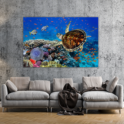 Coral Reff and Sea turtle