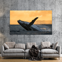 Humpback jump