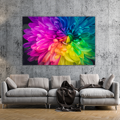 Beautiful flower