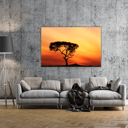Sunset in a Tree