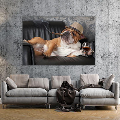 Dogs Life
