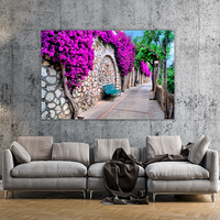 Pathway in Capri
