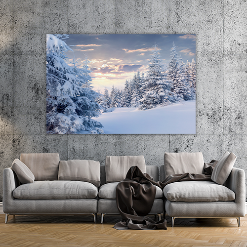 Sunny Winter