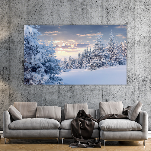 Sunny Winter