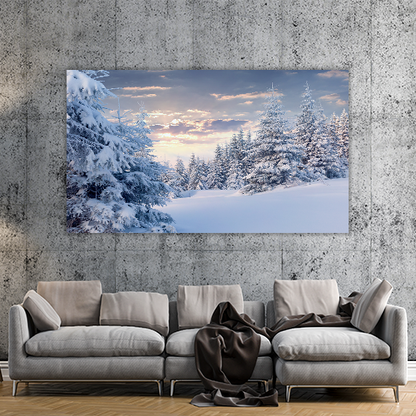 Sunny Winter