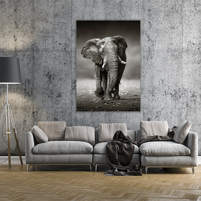 Elephant Approach