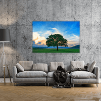 Beautiful and Old Oak
