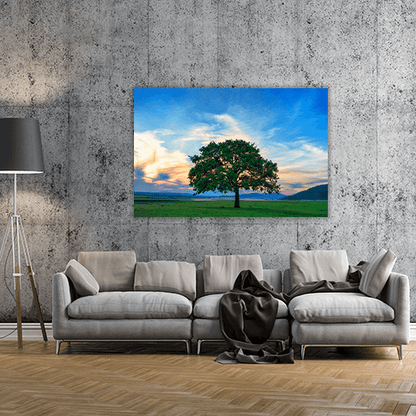 Beautiful and Old Oak