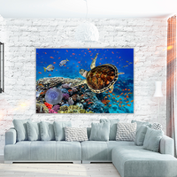 Coral Reff and Sea turtle