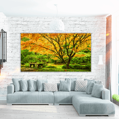 Japanese Maple Fall