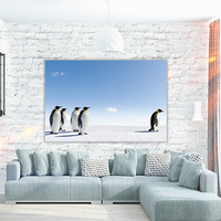 Emperor Penguins