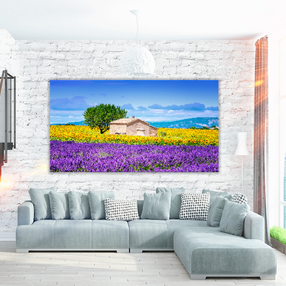 Sunflower Field Sky