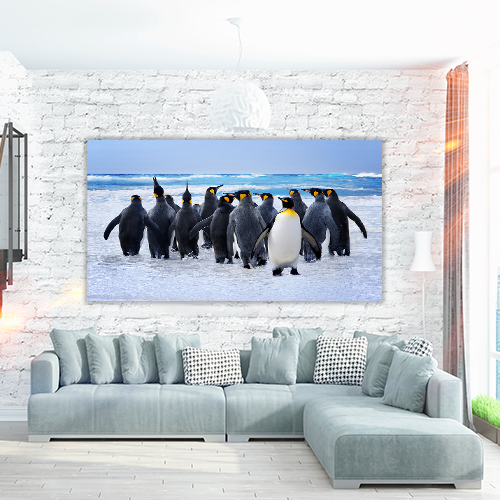 King Pinguins