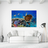 Coral Reff and Sea turtle