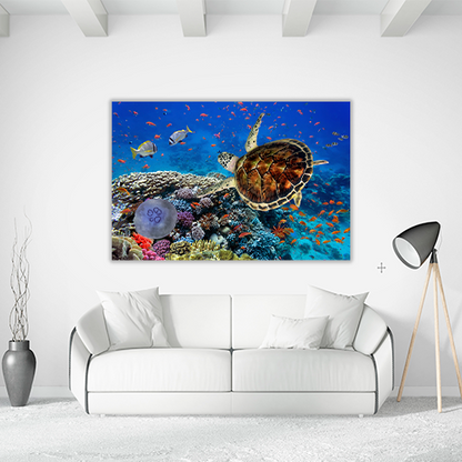 Coral Reff and Sea turtle