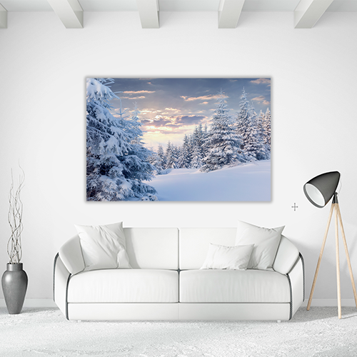 Sunny Winter