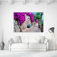 Pathway in Capri