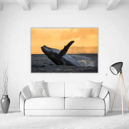 Humpback jump