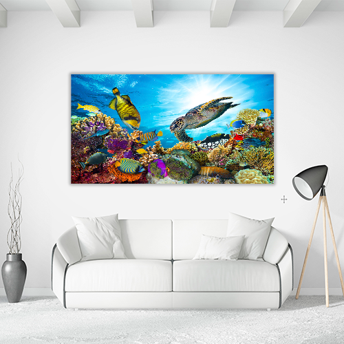 Colorful Coral Reef
