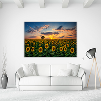 Field of Blooming Sunflowers