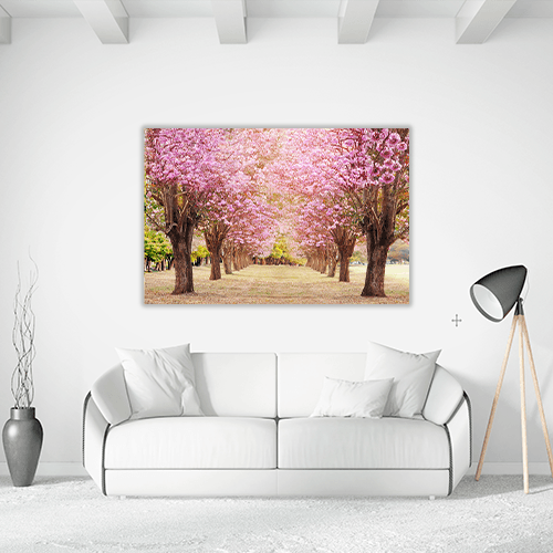 Rosy Trumpet Tree