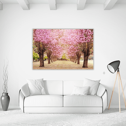 Rosy Trumpet Tree