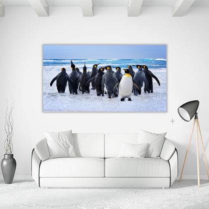 King Pinguins