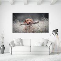 Hungarian Hound Dog