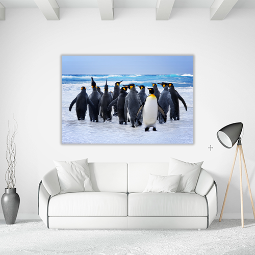 King Pinguins
