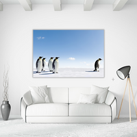 Emperor Penguins