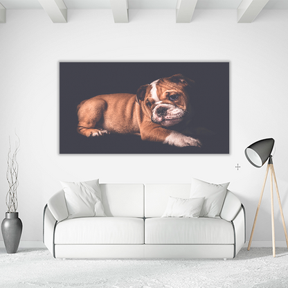 Portrait of English Bulldo
