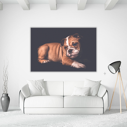 Portrait of English Bulldo