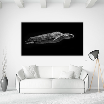 Sea Turtle Swimming in the Sea