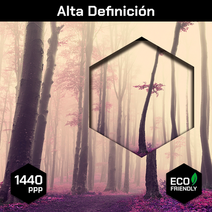 Arbol Neblina