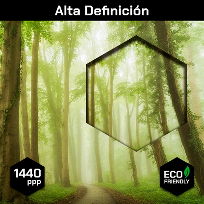 Bosque Bajo Niebla Verde