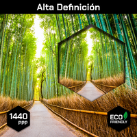 Bamboo Bosque