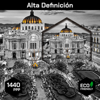 Bellas Artes Vintage
