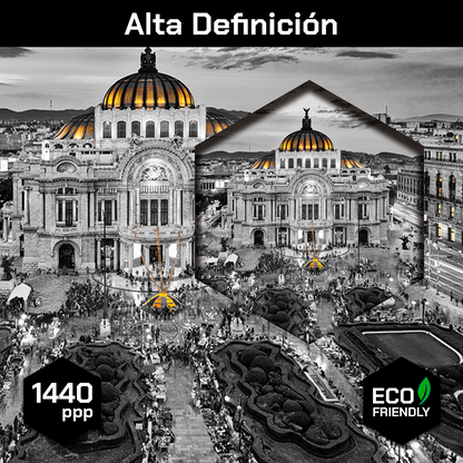 Bellas Artes Vintage