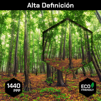 Bosque Bello