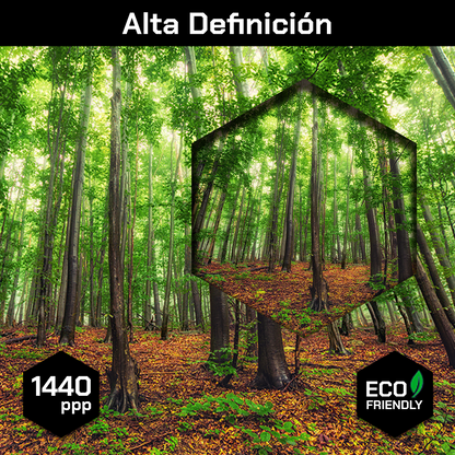 Bosque Bello