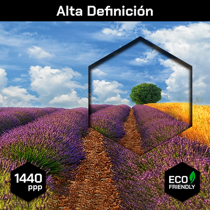 Campos Y Arbol