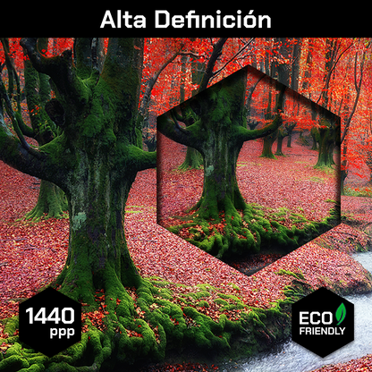 Bosque Corriente