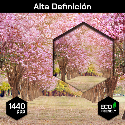 Bosque De Cerezos Rosas