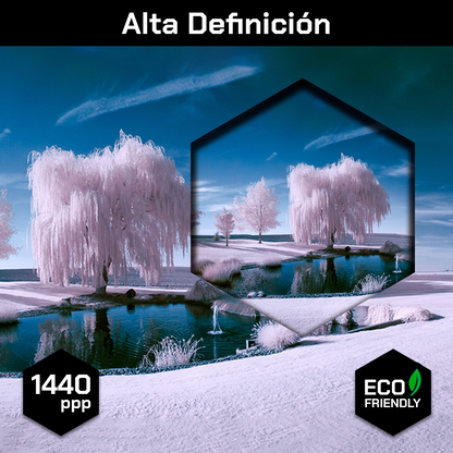 Bosque De Hielo Con Lago