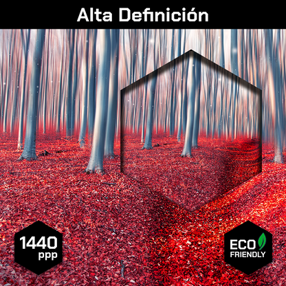 Bosque Encantado